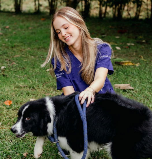 Servicio de cuidado en casa para perros - Amor de cuatro patas